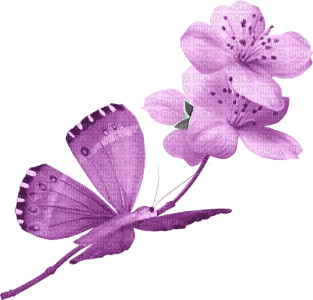 purple-butterfly and flower--fjäril-blomma-lila-minou52 - gratis png