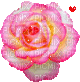 pink rose - GIF animasi gratis