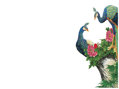 peacock bp - фрее пнг