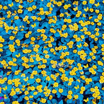 soave background animated   flowers  spring - Besplatni animirani GIF