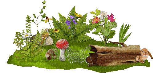 Rasen, Blumen, Pilz - Gratis geanimeerde GIF