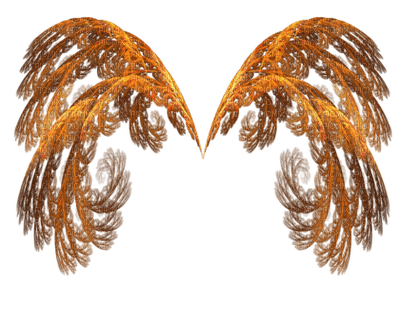 wings - nemokama png