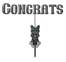 cat congrats - Free animated GIF