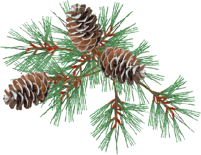Christmas-tree branch - Zdarma animovaný GIF