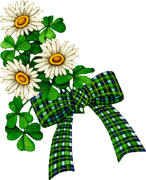 Kaz_Creations Deco St.Patricks Day Ribbons Bows Flowers - Bezmaksas animēts GIF