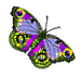 Pretty Butterfly Gif - GIF เคลื่อนไหวฟรี