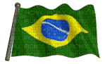 Bandeira brasileira - Animovaný GIF zadarmo