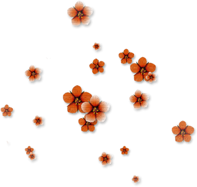 fleur marron.Cheyenne63 - Free PNG