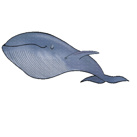 Blue Whale - Besplatni animirani GIF