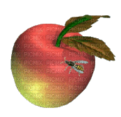 Apples bp - Ingyenes animált GIF