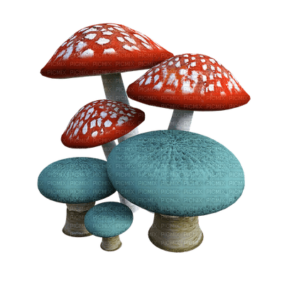 mushrooms, sienet, syksy, autumn, luonto, naure - ücretsiz png