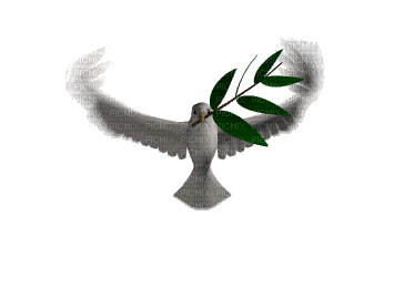 palma - Bezmaksas animēts GIF
