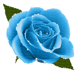 dolceluna animated glitter blue rose spring - Δωρεάν κινούμενο GIF