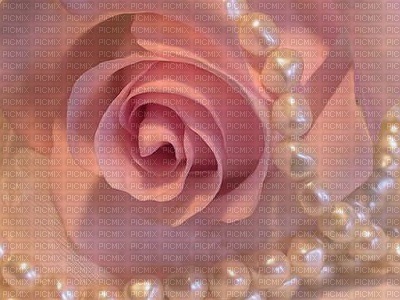 roses/pearls bp - Free PNG