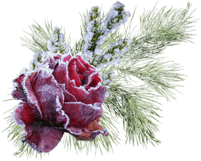 Flowers frozen bp - PNG gratuit