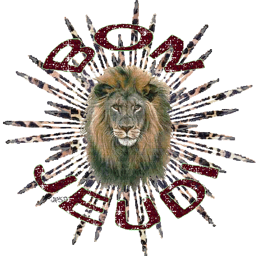 lion - Besplatni animirani GIF