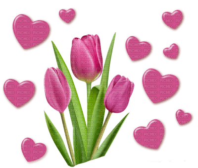 tulppaani sydän, sisustus, tulip, heart, decor - gratis png