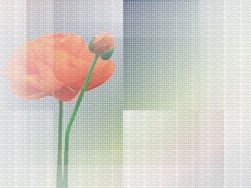 Background Green Beige Flower - Bogusia - png gratis