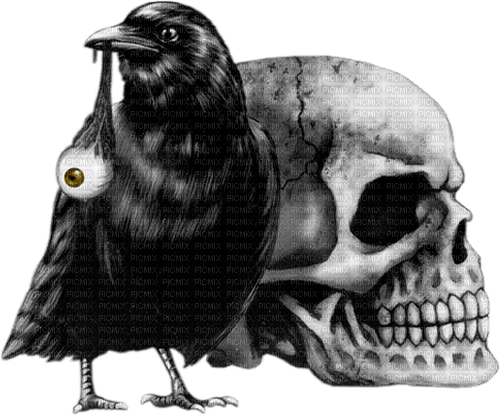 gothic crow by nataliplus - darmowe png