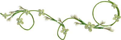 minou-white flowers-vita blommor - PNG gratuit