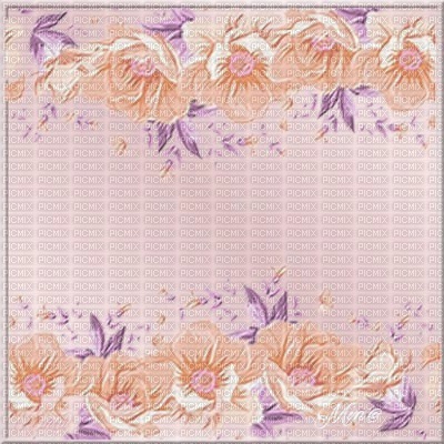 minou-frame-bg-lightapricot-flower-400x400 - png ฟรี