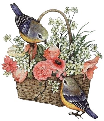 Kaz_Creations Deco Flowers Birds - Безплатен анимиран GIF