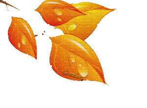 Осенние листочки - Darmowy animowany GIF