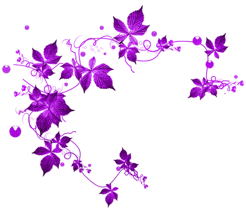 Leaves.Purple - 免费PNG