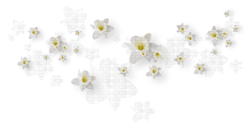 White Flowers - bezmaksas png