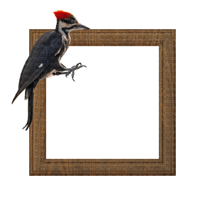 Small Brown Frame - ingyenes png