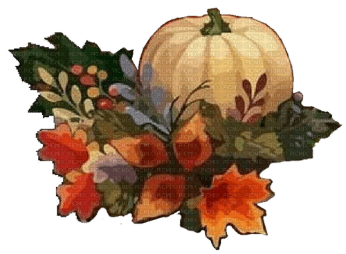 nbl-autumn pumpkin - ücretsiz png