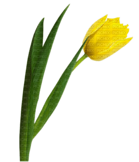Kaz_Creations Deco Flowers Tulips Flower - ücretsiz png