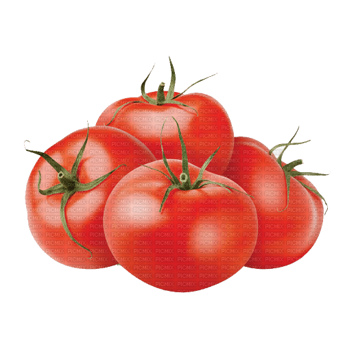 nbl-tomato - kostenlos png