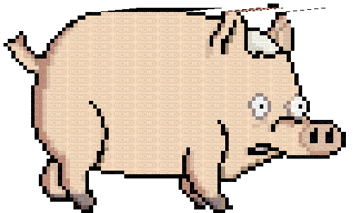 pig - Безплатен анимиран GIF