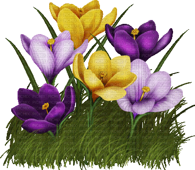 spring printemps flower fleur blossom fleurs gif anime animated tube deco  blume blüte purple grass gras herbe, spring , printemps , flower , fleur ,  blossom , fleurs , gif , anime ,