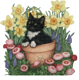 Animated Cat in the Garden - Gratis animeret GIF