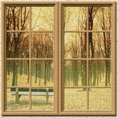 window glass rain fenêtre  autumn - Gratis geanimeerde GIF