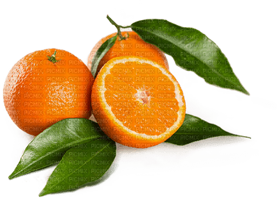 Kaz_Creations Deco Fruit Oranges - nemokama png