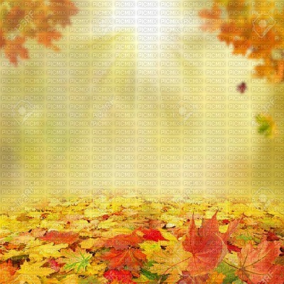 automne fond autumn bg - 無料png