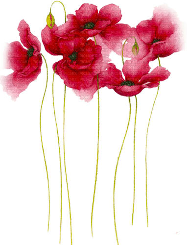 Y.A.M._Art Summer Flowers Decor - 免费PNG
