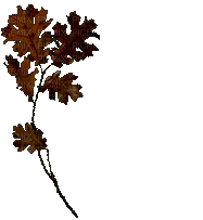 Kaz_Creations Autumn Animated - Darmowy animowany GIF