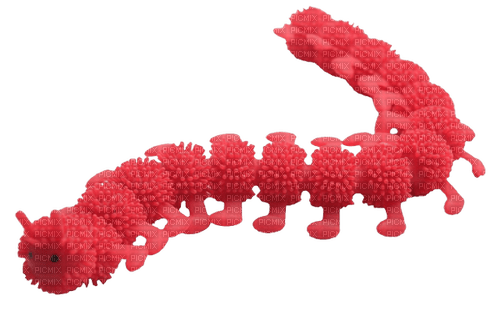 red caterpillar toy - zadarmo png
