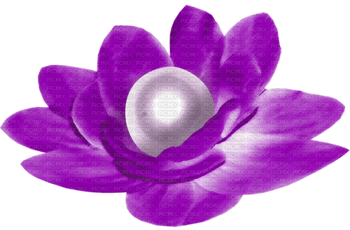 Flower.Pearl.Purple.White - png grátis