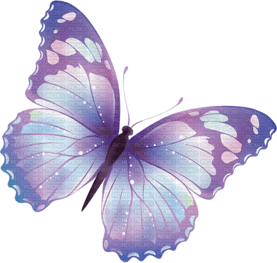 Kaz_Creations Deco Butterflies Butterfly Colours - δωρεάν png