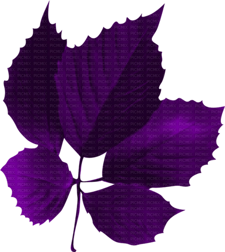 Leaf.Purple - безплатен png