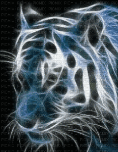 aze tigre bleu blue - Bezmaksas animēts GIF