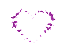 coe violet  purple - GIF animado grátis