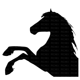 horse shadow - безплатен png