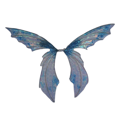 Fairy Wings - PNG gratuit