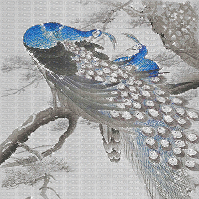 kikkapink peacocks peacock japanese background - GIF animasi gratis